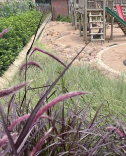 ANGELS CARE