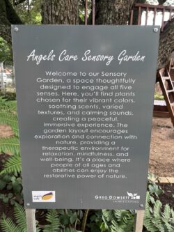 ANGELS CARE AGRIC HALL