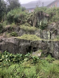 HILTON QUARRY