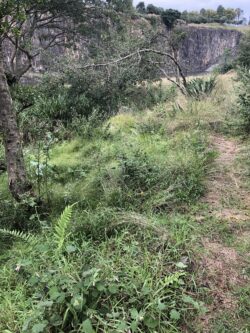 HILTON QUARRY