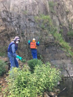 HILTON QUARRY