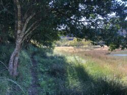 HILTON QUARRY