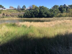 HILTON QUARRY