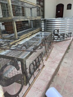 ANGELS CARE AGRIC HALL